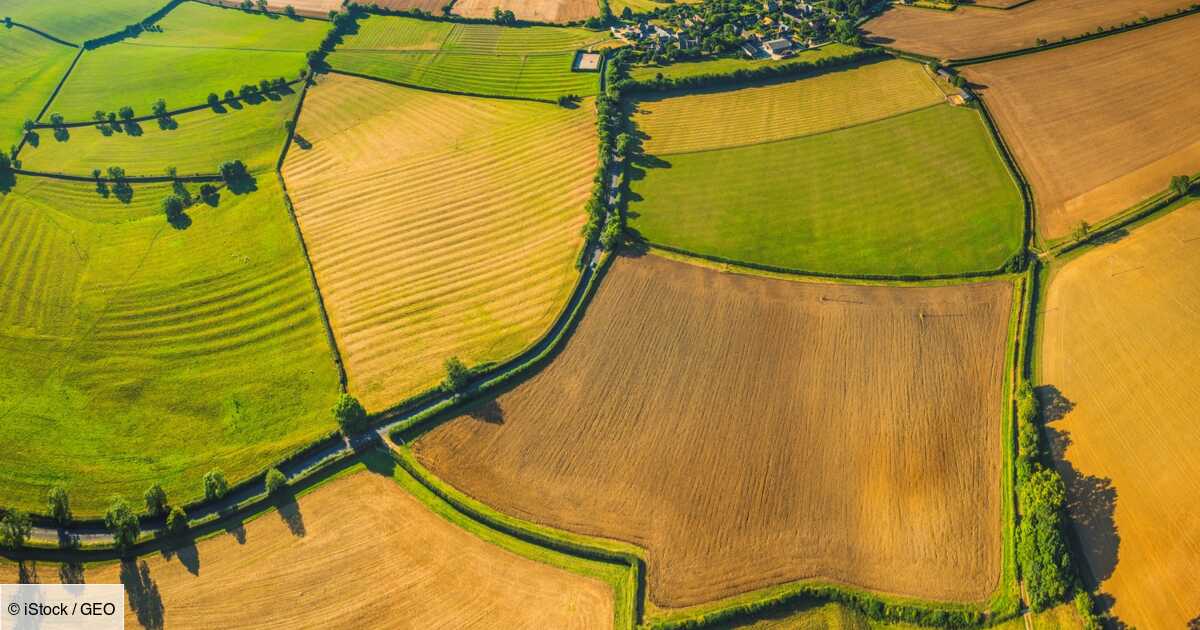 investir dans la terre agricole