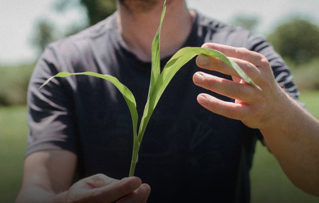 Argent et impact : Comment choisir une banque écologique ?