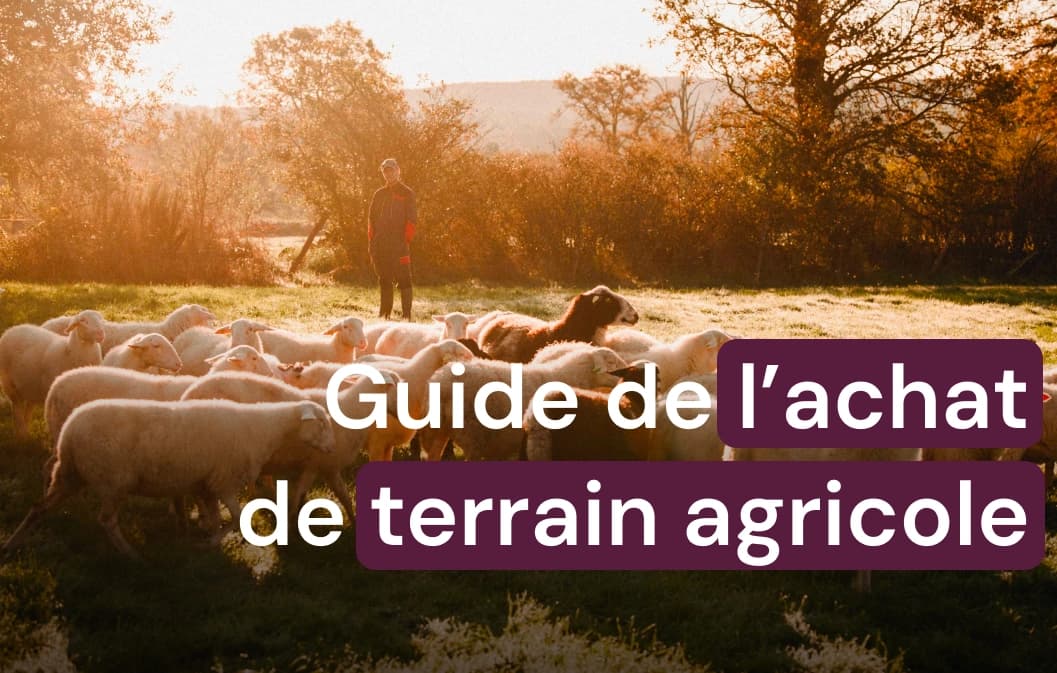 Achat de terrains agricoles : conseils et astuces