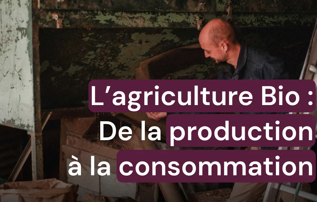 L’agriculture Bio : De la production à la consommation