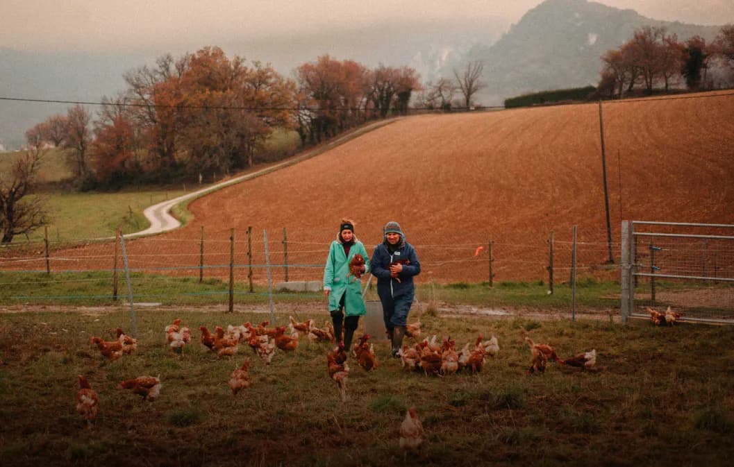 Guide de l’investissement éthique dans les terres agricoles et l'épargne responsable