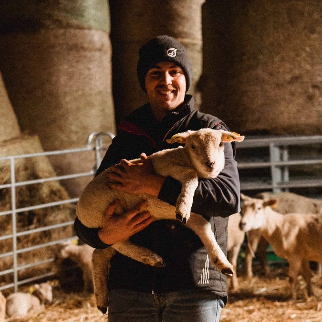 62,5 ha en élevage de Limousines et ovins Bio