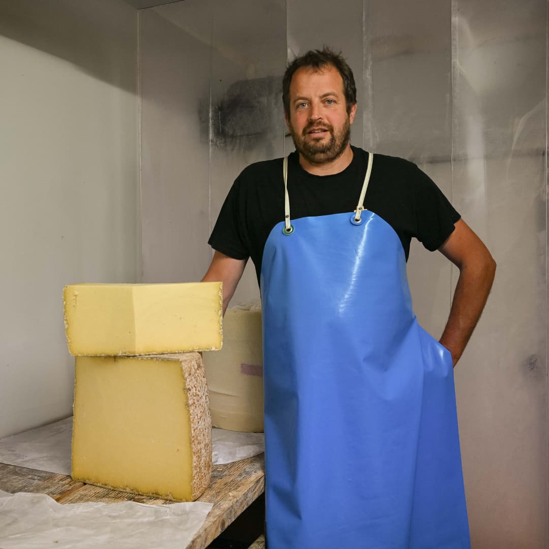 Nouvelle parcelle en élevage de vaches - Cantal & Salers AOP