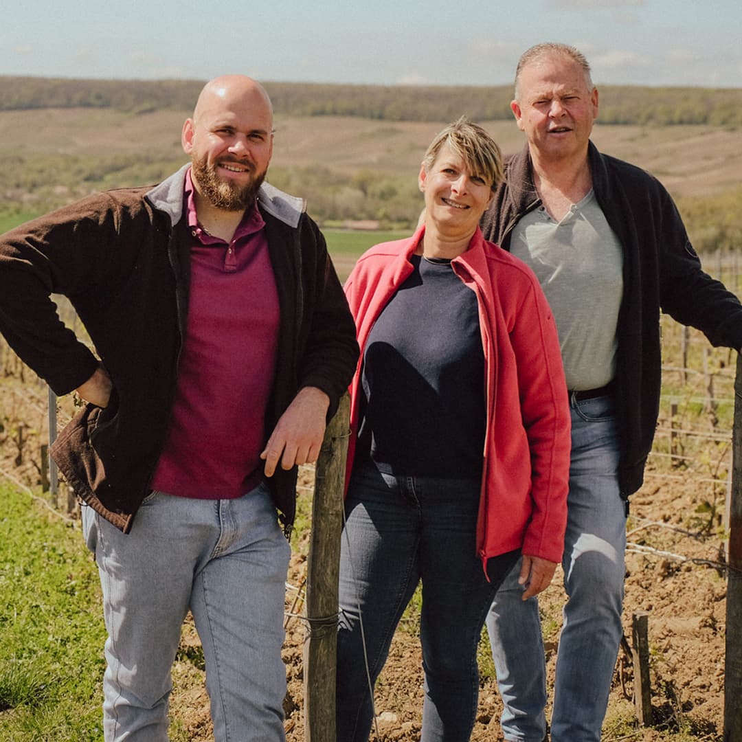 25,9 ares en vignes Bio - AOC Champagne et Coteaux-champenois