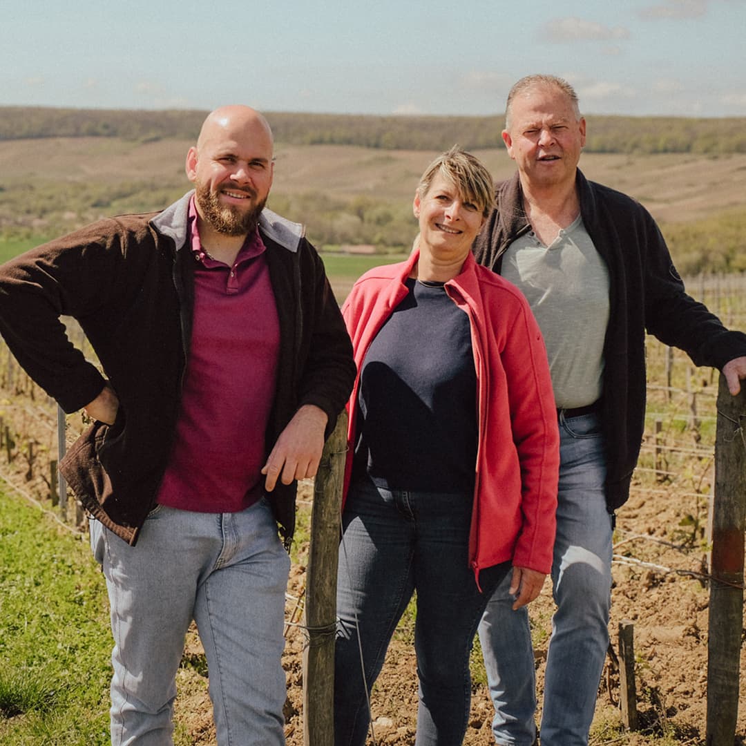 25,9 ares en vignes Bio - AOC Champagne et Coteaux-champenois